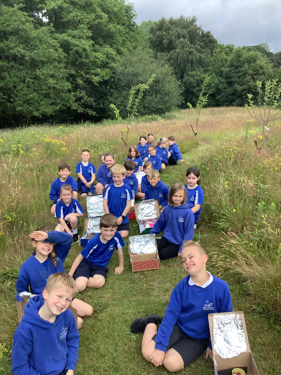 WhitegateCedar tweet media