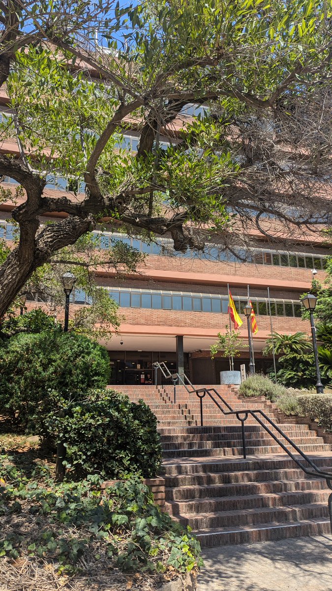 Jaume Feliu tweet media