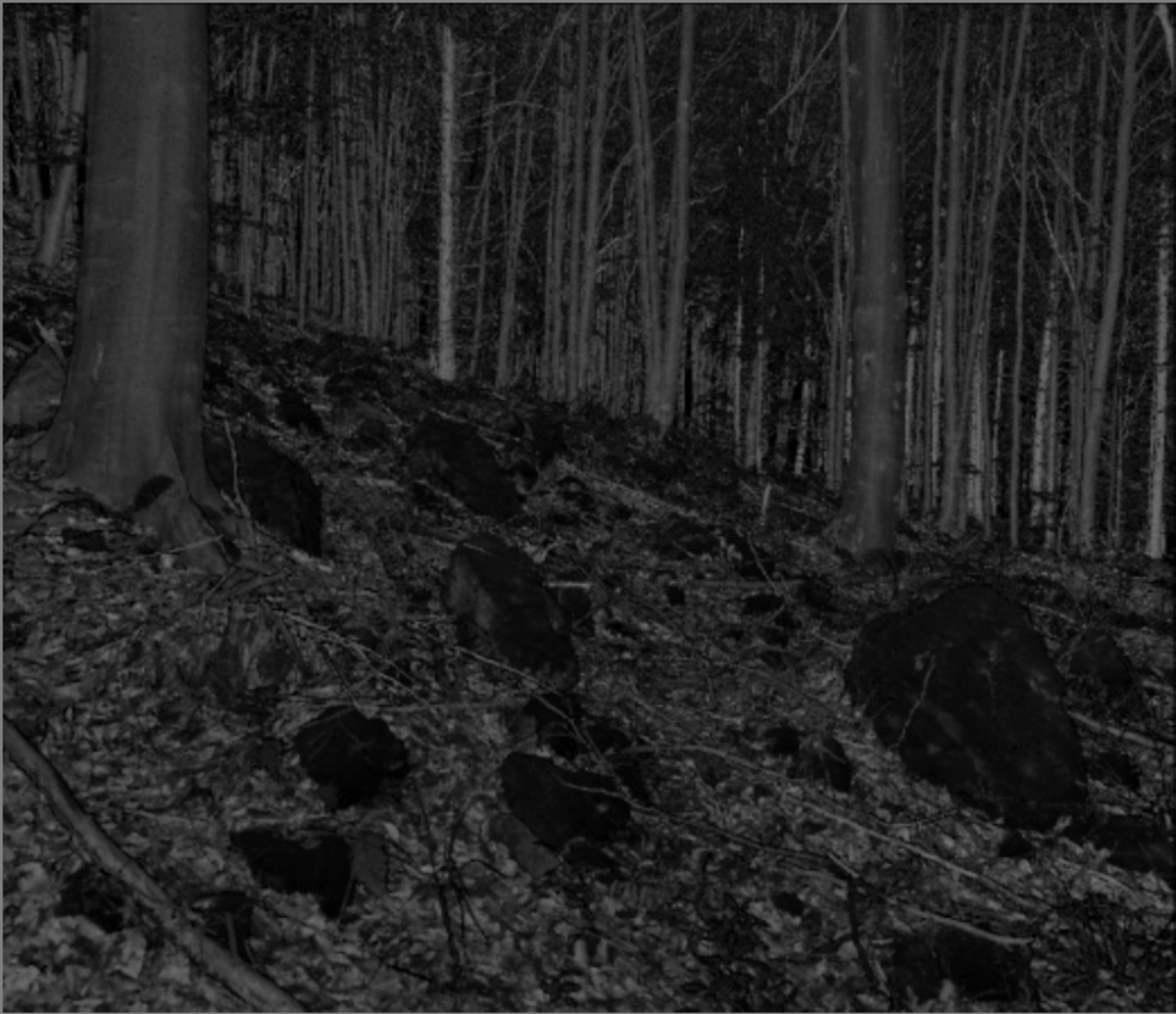 czechglobe_xylo's tweet photo. Our TLS scanning campaign of #DendroNetwork sites with @SensingFUB and @RS_czechglobe, via an internship from @3DForEcoTech, has ended. 33 sites scanned and many challenges overcome. Looking forward to further collaboration with this amazing team! https://t.co/MUzwwCliEK