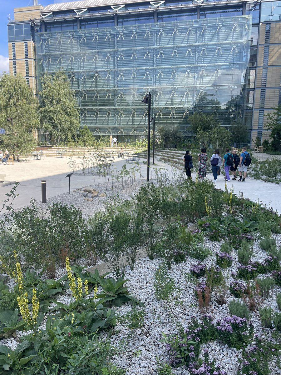 flygirlNHM's tweet photo. The wildlife garden has reopened! 

With glorious weather we have wondered around the new (and old) place 

The Nature activity Centre and ponds look great. And wait…is that a #BeeFly I spy on the pollinator board 🤓🪰

@NHM_Science @amentsoc @RoyEntSoc #UrbanNatureGarden https://t.co/vso8zez6fO