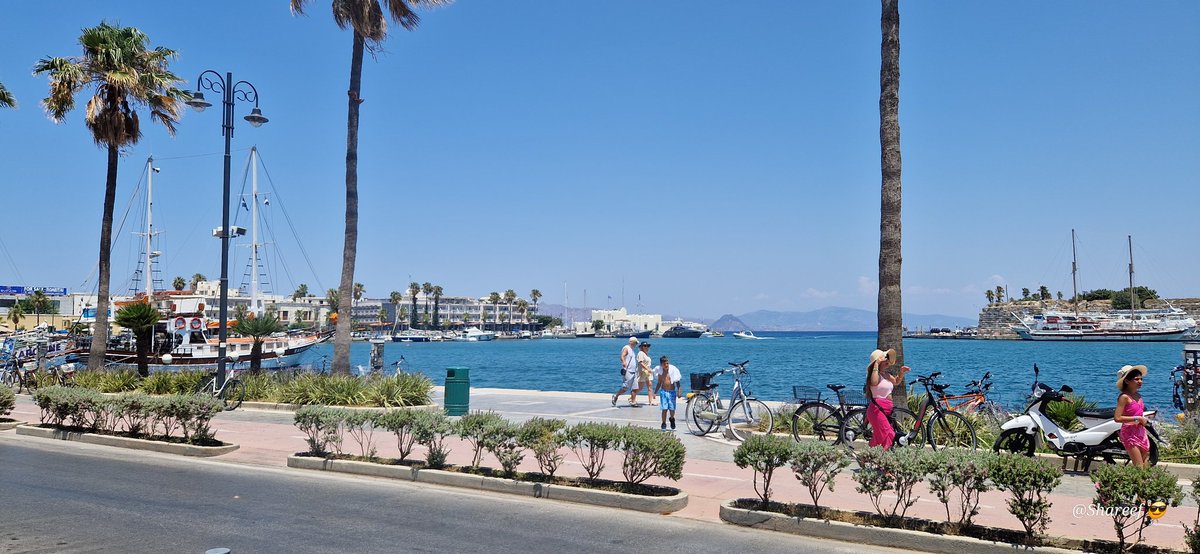 Shareef (@shareef) on Twitter photo 