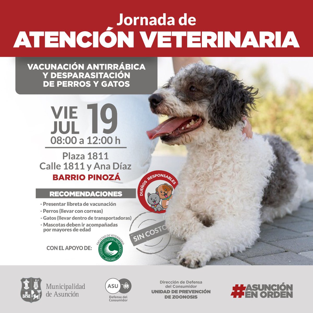 PyFusion's tweet photo. Este Viernes 19 de Julio 
De 08:00hs a 12:00hs 
Acercamos al Barrio servicios básicos de atención a los vecinos Pinoñceños.
En la Plaza 1811
#Inscripcion_Adultos_Mayores
#Vacunacion_animales
#Peluqueria_Gratuita
#Clinica_Familiar 
Odontología 
Nutrición 
Psicología
Enfermería https://t.co/sSTSGXiudS