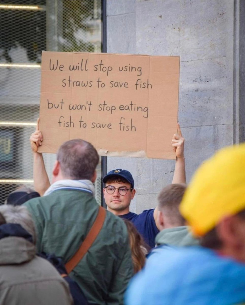 Plant_Treaty's tweet photo. Do you shun plastic straws but still eat fish?⠀
⠀
The best way to save fishes is to leave them off your plate!⠀
⠀
Watch @seaspiracy on Netflix 💙🐟 ⠀
⠀
📷 @vegains_info https://t.co/G056ryIJVD