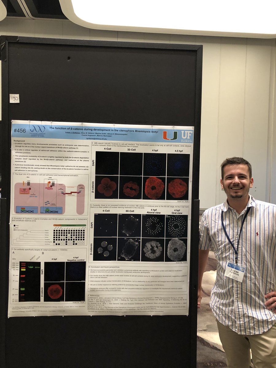 Whitney_Lab's tweet photo. Shout out &amp; congrats to the folks from #WhitneyLab who presented their AWESOME science at #2024SDB! 
📸👇@lguttieres974, @_lauren_k__, @capitELa4 https://t.co/IKWQXwxoiC