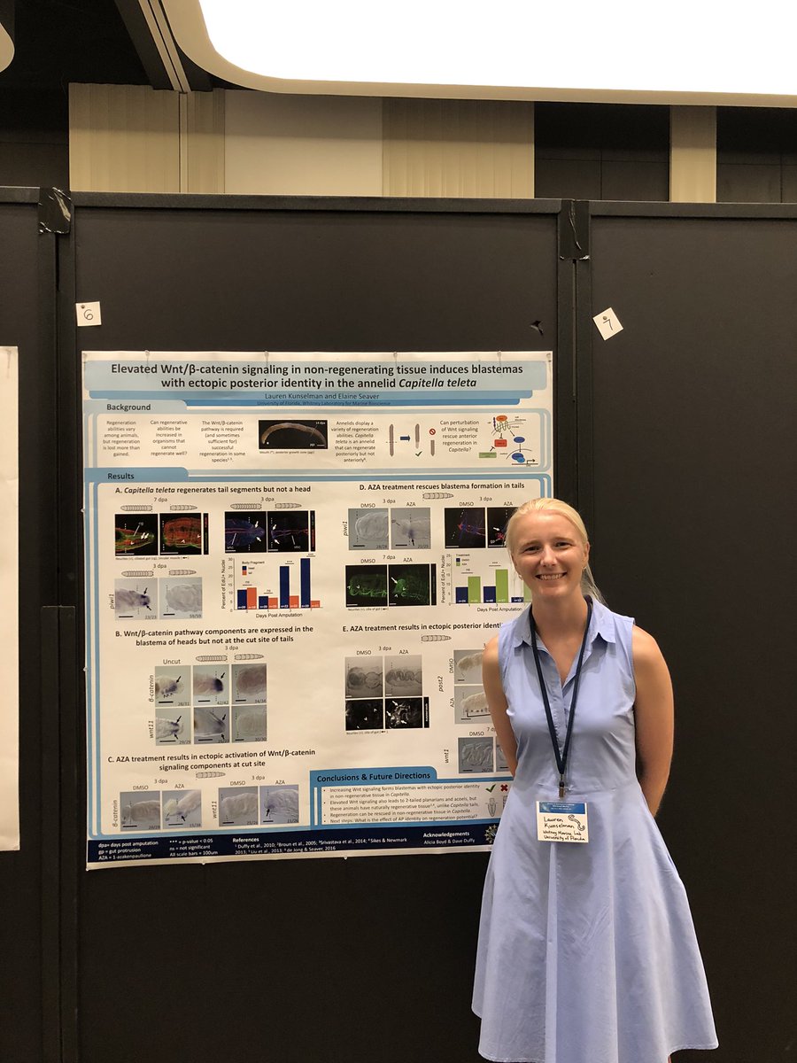 Whitney_Lab's tweet photo. Shout out &amp; congrats to the folks from #WhitneyLab who presented their AWESOME science at #2024SDB! 
📸👇@lguttieres974, @_lauren_k__, @capitELa4 https://t.co/IKWQXwxoiC