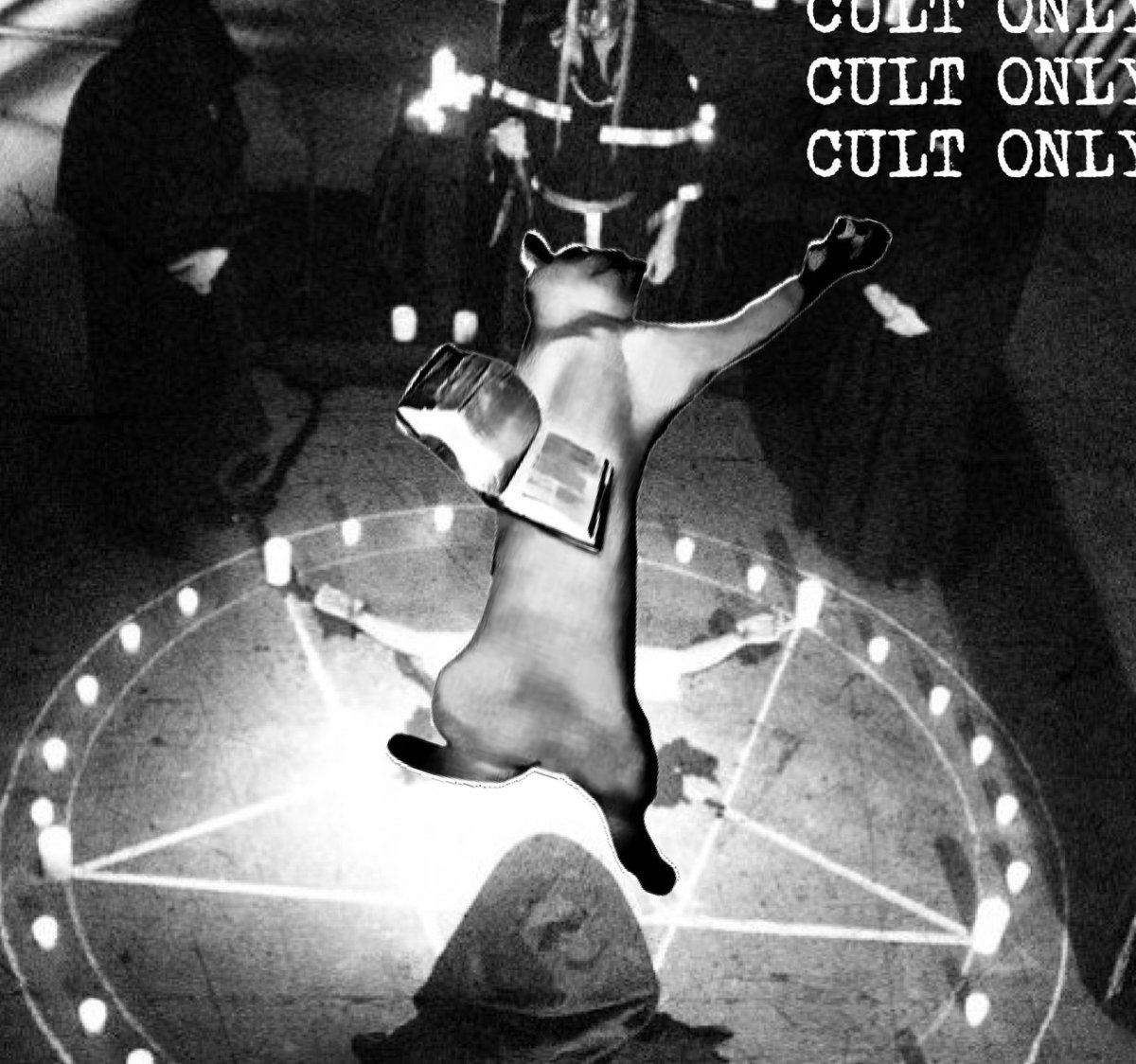 Basethereum's tweet photo. @SupportMyspace @0xchromium CULT CULT CULT https://t.co/pvGgplpT3m