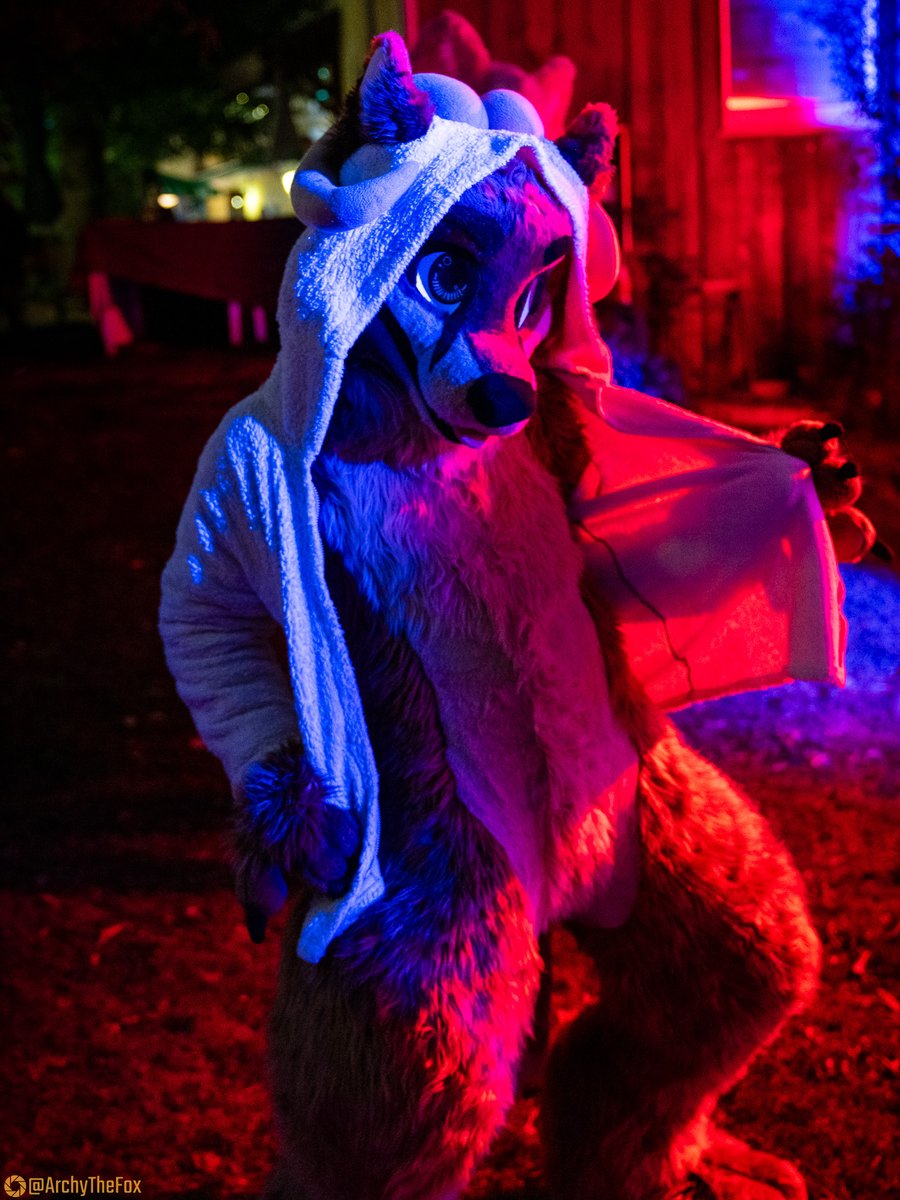 ArchyTheFox 🇦🇹 tweet media