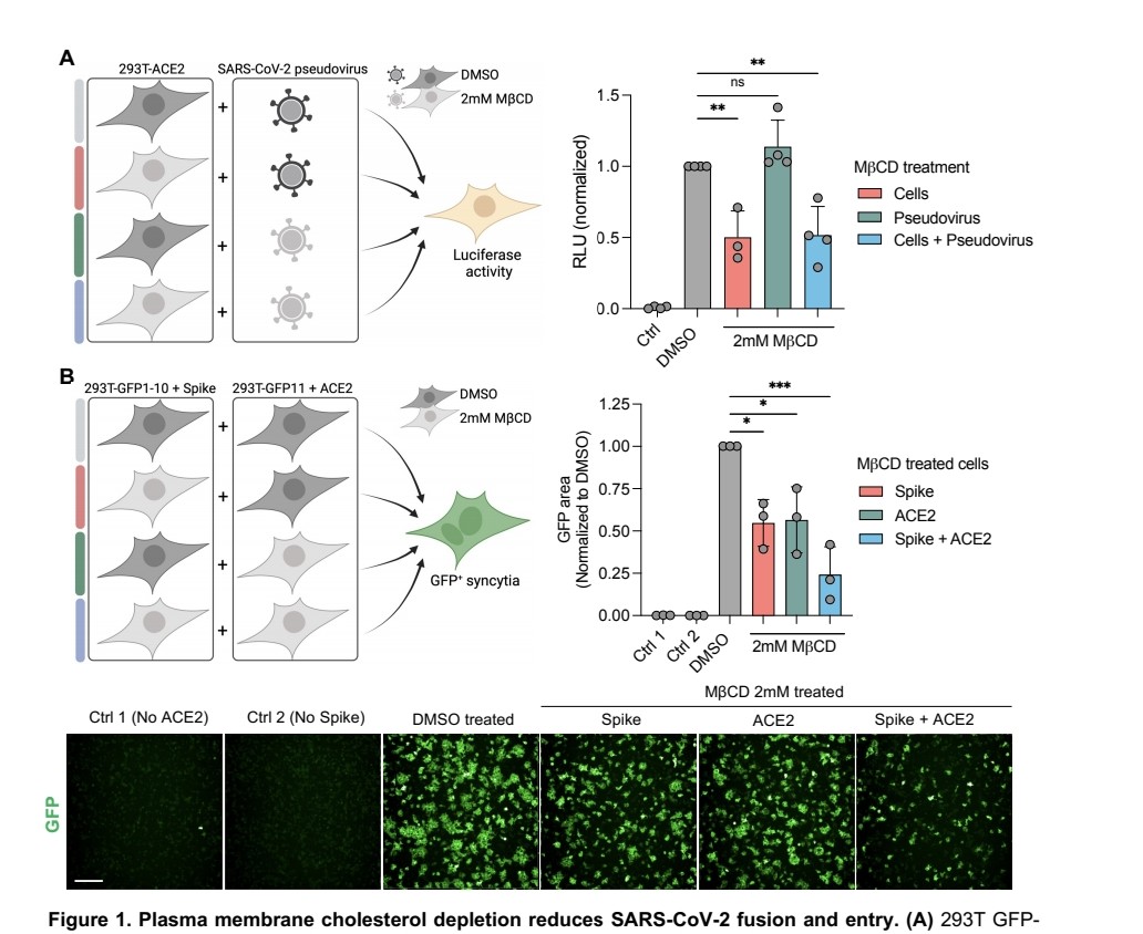 Emmanuel tweet media