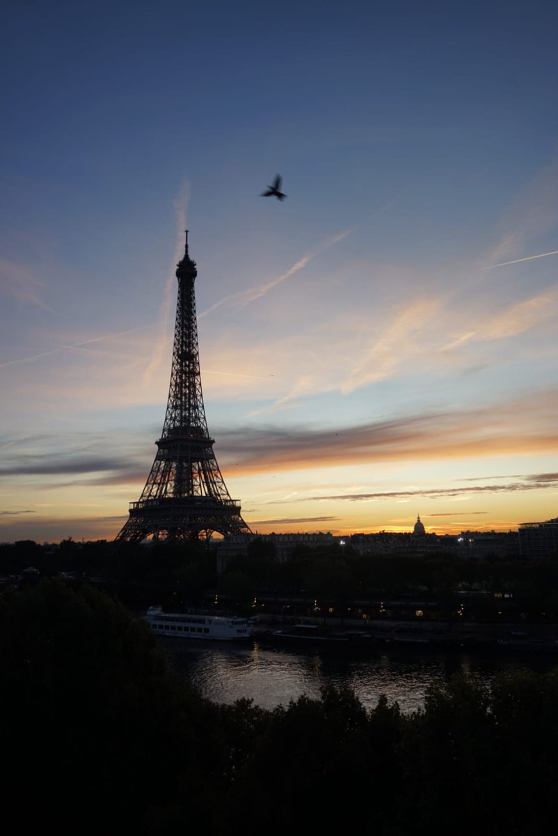 hashtag_365jours tweet media