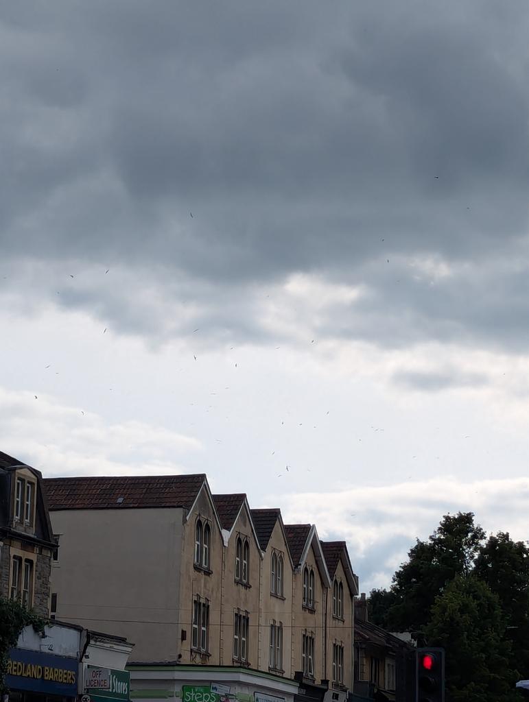 Peaceworks tweet media