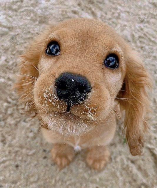 rnd.vibes tweet media