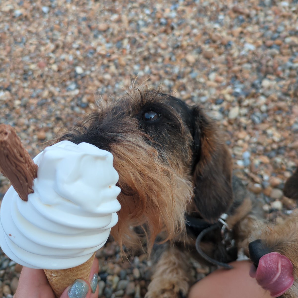 Best day ever!
