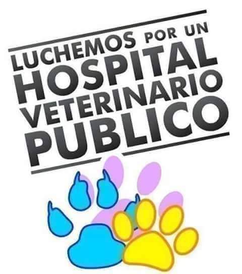 GRamirezF_D12's tweet photo. Grandísima Necesidad.!. 🐾🐈‍⬛🐕🐾🎗️🕊️💞❤️ https://t.co/XI7tp4erZ7