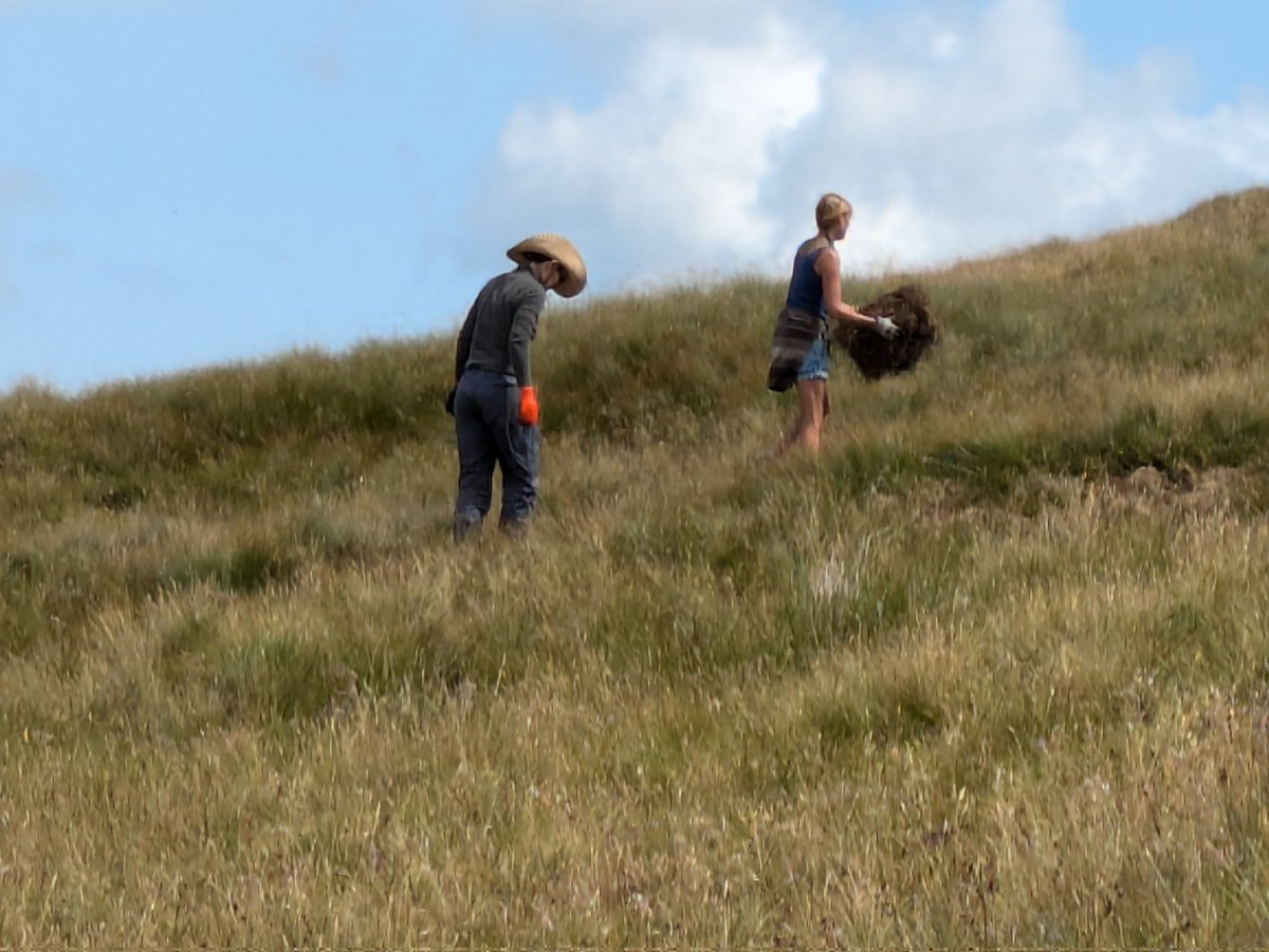 ManxPeat's tweet photo. A massive thanks to our peat volunteers for working on Mullagh Ouyr today ☺️ It was lovely up there but hard work shifting heather bales 💪#GreenGym 🇮🇲 https://t.co/BZaSn2C8Od