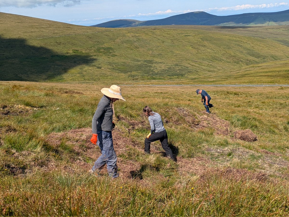 ManxPeat's tweet photo. A massive thanks to our peat volunteers for working on Mullagh Ouyr today ☺️ It was lovely up there but hard work shifting heather bales 💪#GreenGym 🇮🇲 https://t.co/BZaSn2C8Od