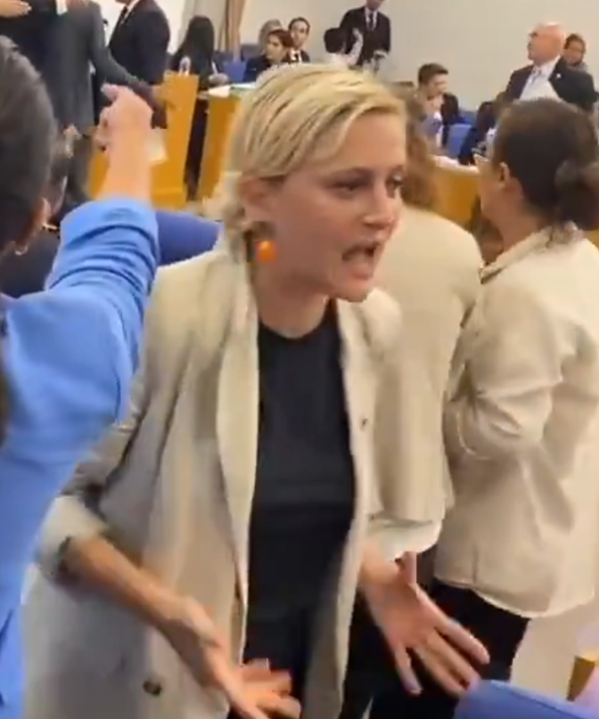TİP, DEM ve CHP'li bazı vekiller sokaktaki dostlarından daha saldırganlar, hem de bir anneye bağırabilecek kadar.

Evladını kaybetmiş bir anneye bağıran bu kişileri görün. Sağdaki milletvekili olan kişi, acılı anneye "şov yapmaya gelmiş" diyen kişi.