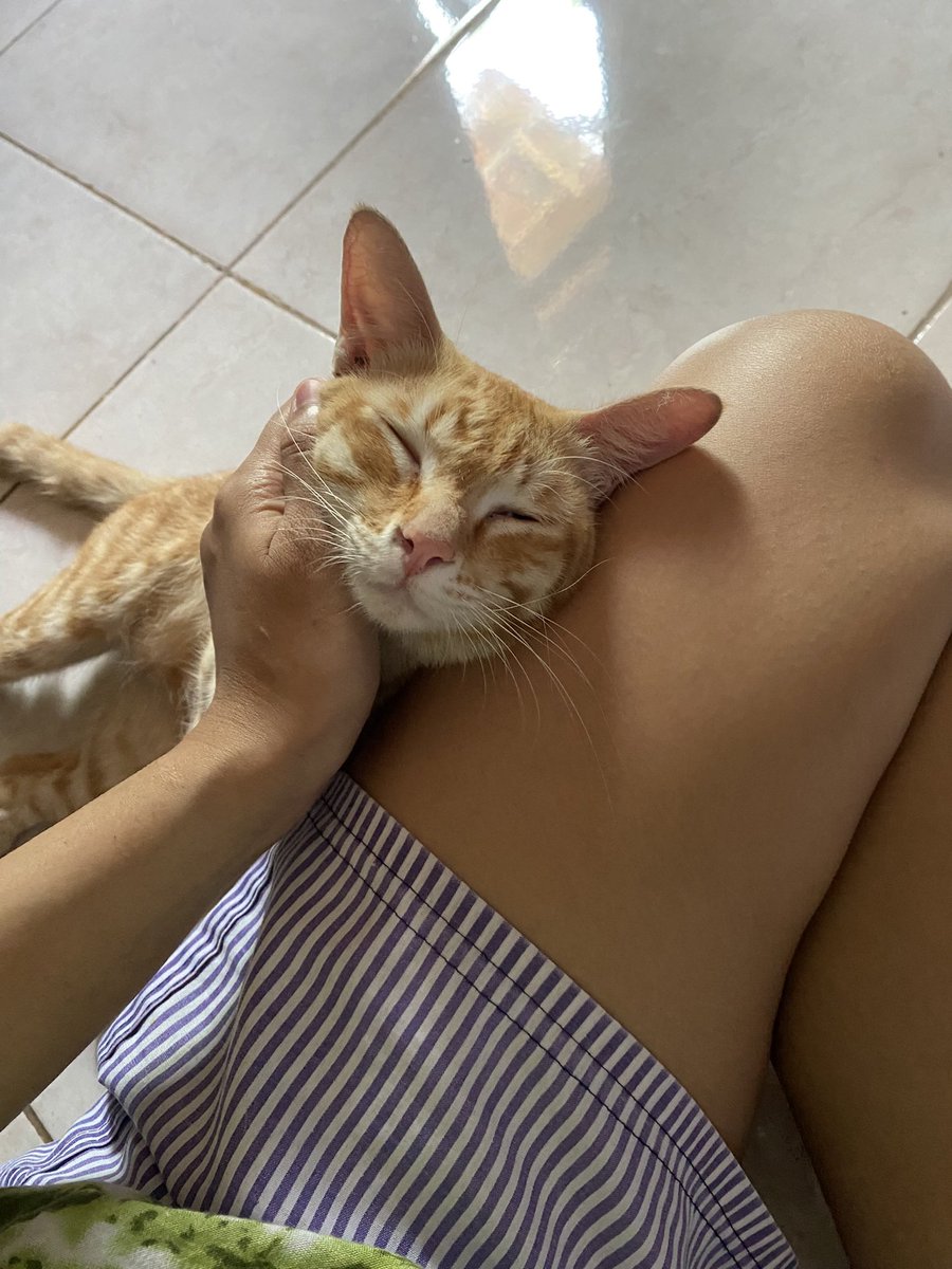 sukacandy's tweet photo. Hay, kenalin kucing kesayanganku gendon😻
Aku sangat sayang kamu dan selalu disisiku saat tidak baik-baik saja. Hari ini dunia jahat ya don kamu mati kesakitan. Maafkan aku ya don mungkin kamu tadi masih lapar😭
Terima kasih ya don udah memilihku jadi babumu🫶🏻😭
Nangis banget😭😭 https://t.co/nEdpN8jmzG