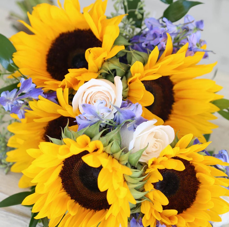 Raimondis's tweet photo. There’s something so special about bright yellow sunflowers in Maryland. Stop in today to see what happy sunny flowers we have in stock! https://t.co/U350mGrHWr https://t.co/3jw1dsJWAL