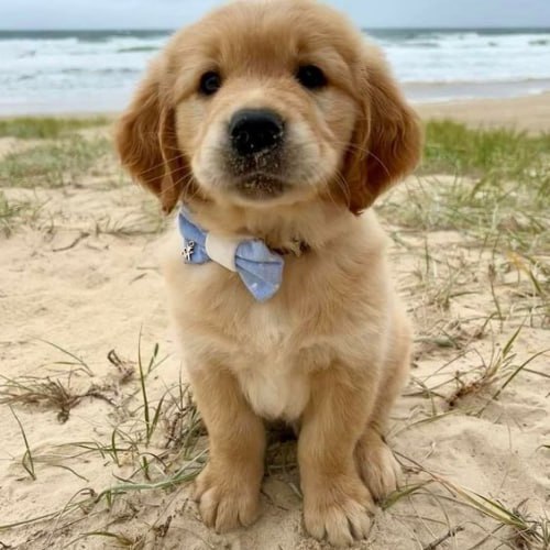 This 13-Year-old Dev Named Toronto is SENDING $ARSY and Broke the VC record with having Over 700 in Voice Chat! $Arsy went from $10k to $2.3M 
#Solana #Arsy #DexMemeCapital #ConnectionaireCalls

CA: 
J5rHNp3ELo5z9pj96ZPeVhmaXCo5jn2nNnGNBDhPpump

t.me/ARSY_CTO