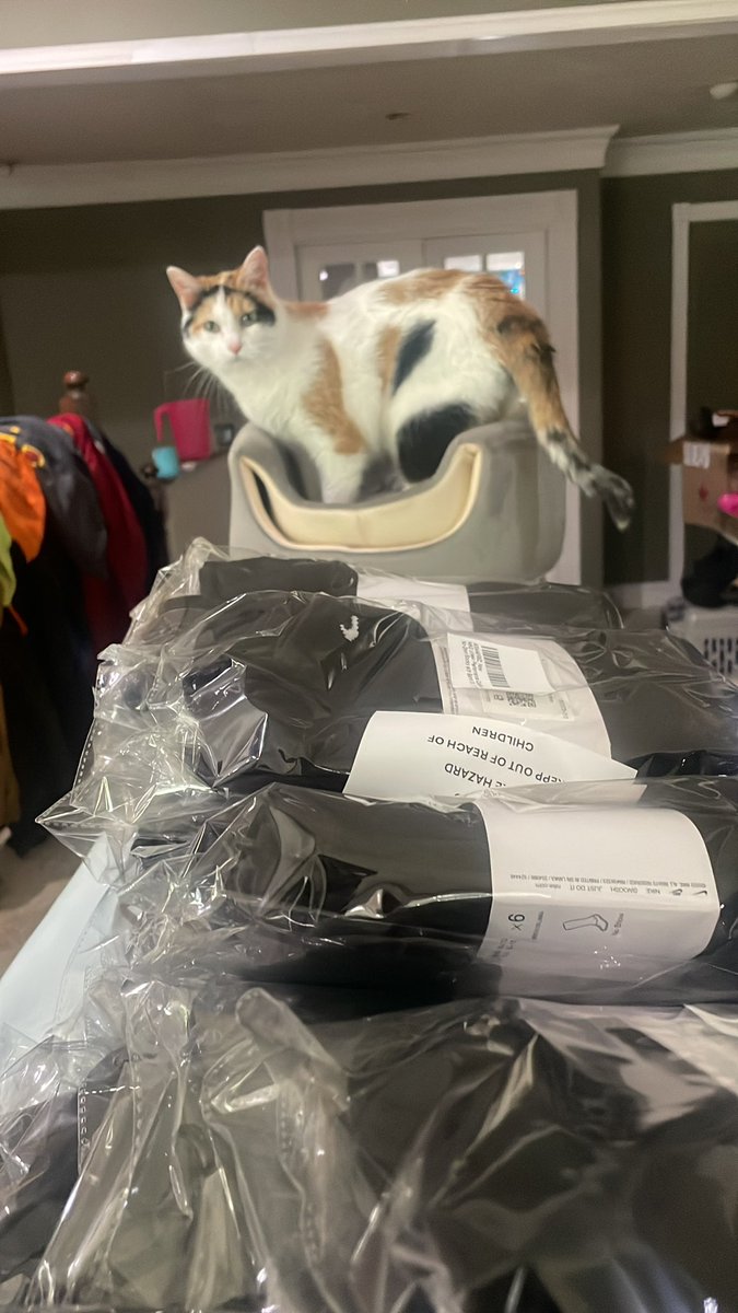 Amazon kitty says send the shipments this instant!