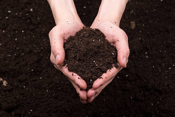 ChemlexPL's tweet photo. New possibilities for the use of #processed_manure as a component material in EU fertiliser products under #Regulation_2019/1009. The new law applies from 3 July 2024 #CE_fertilizers https://t.co/ByHujQE0QG