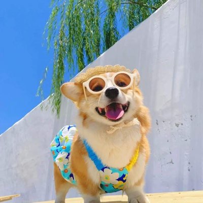 #NewProfilePic