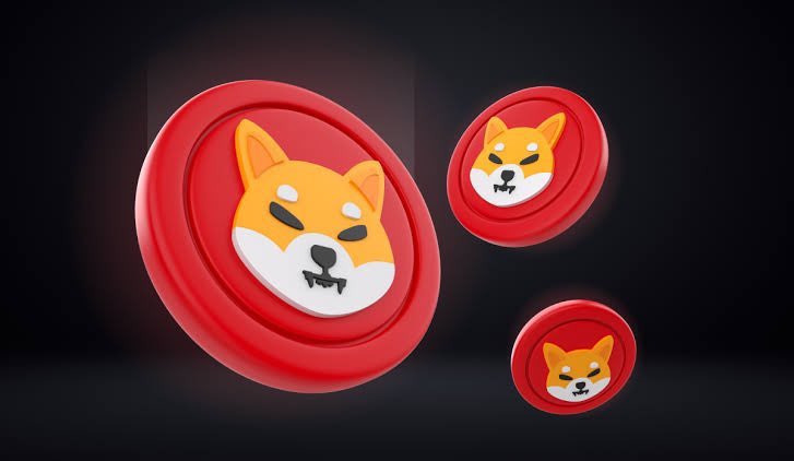ShibInfo's tweet photo. If you're a proud $SHIB holder, RT! 🚀✨

🗣️WOOF! https://t.co/ufIPNDOlrG