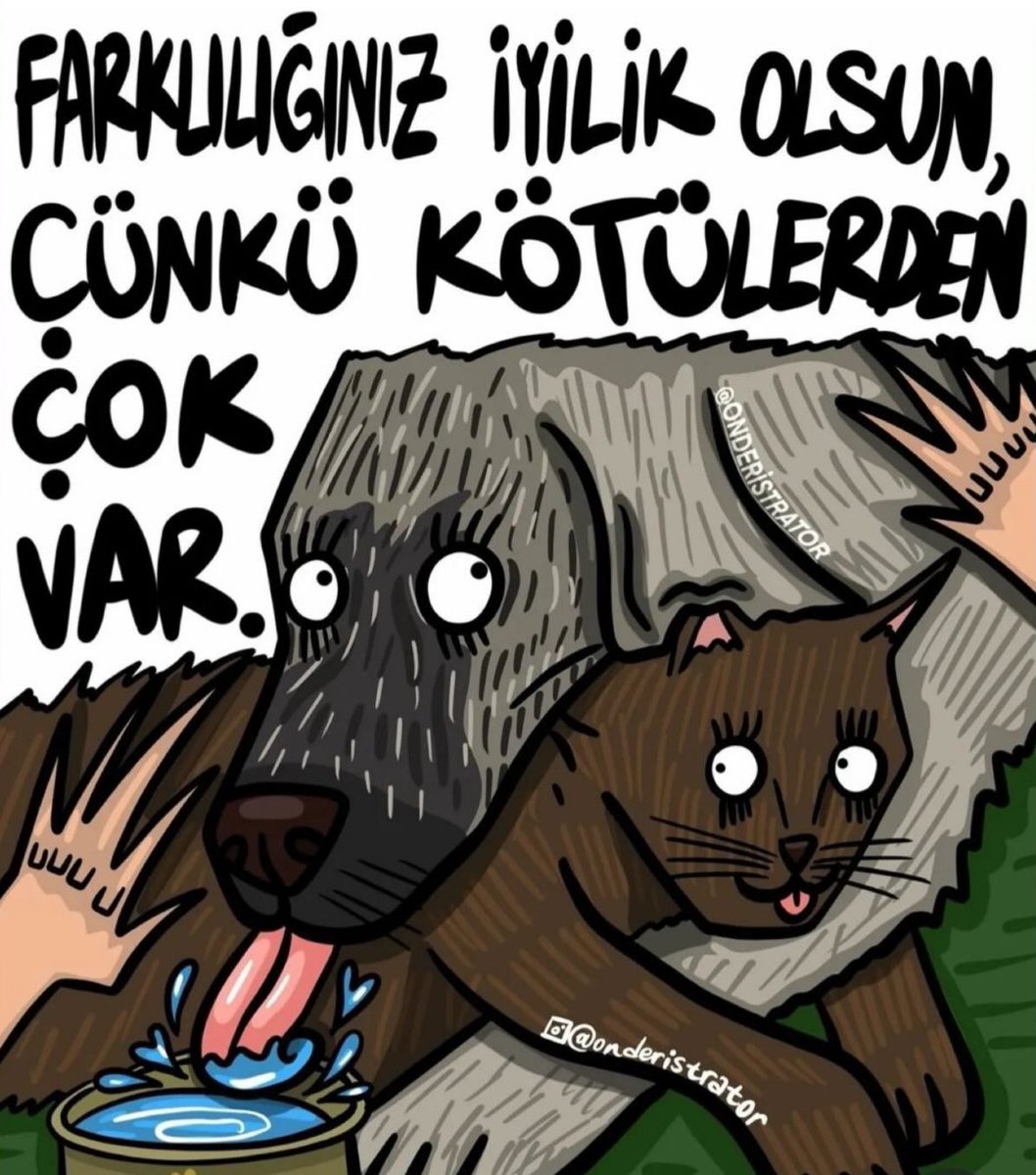 ❤️🫶🏻❤️🫶🏻❤️🫶🏻