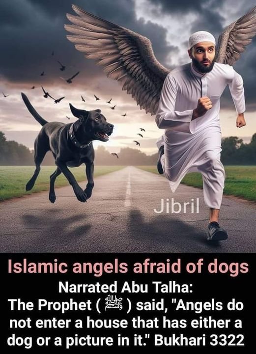 AjeefMuhammad's tweet photo. #عاشوراء #عاشورا https://t.co/vus1Y42wAV