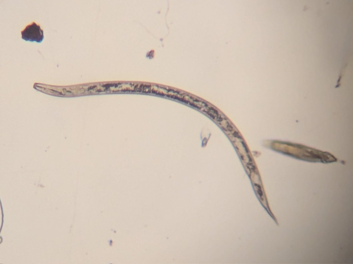 Billy Crow tweet media