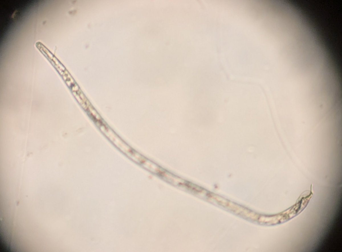 Billy Crow tweet media