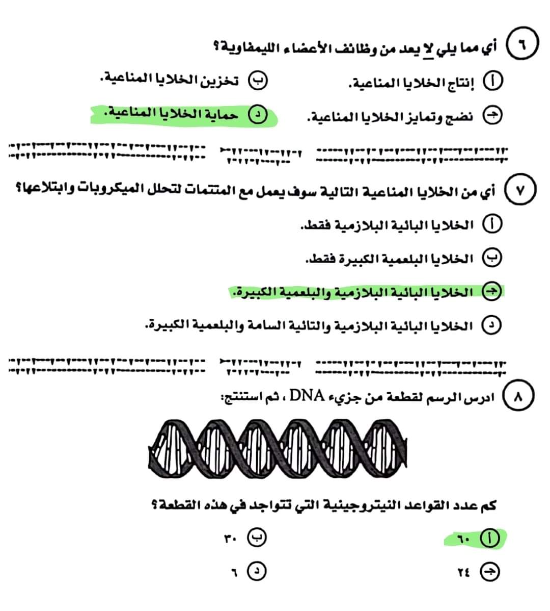ali youssef (@halarag46363674) on Twitter photo 