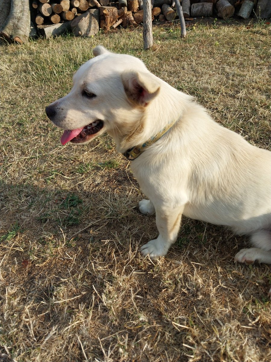 bir yaz tatilinde tanistik senle