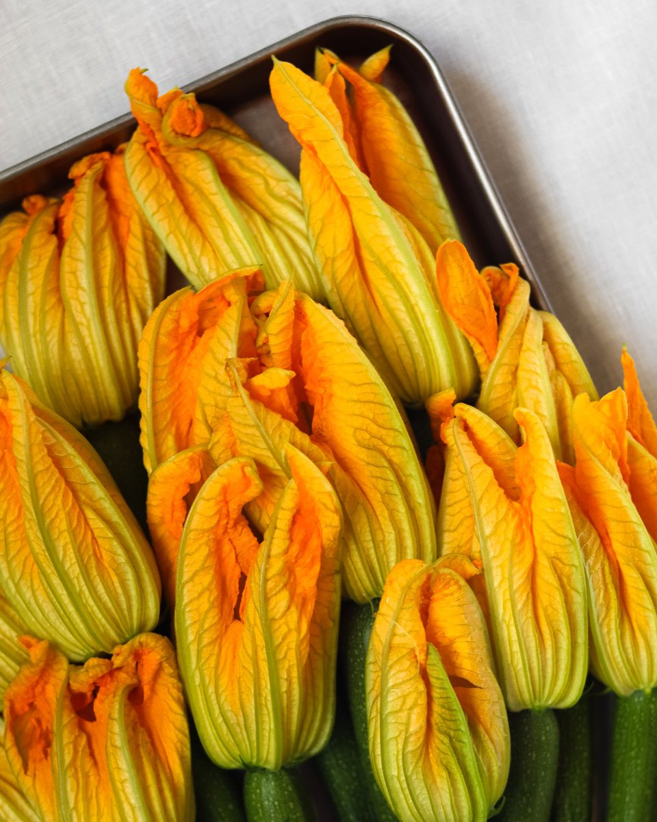 MuranoLondon's tweet photo. We source our fruit and vegetables from our friends Joe and Nick at Smith and Brock. Currently on the Set Lunch menu we have Courgette flowers stuffed with ricotta, served with tomato salsa and lemon. https://t.co/PAY2Ejto9D