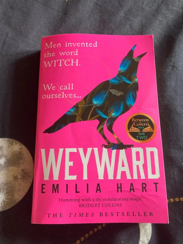 Get the  Contemporary fiction I’m selling on @VintedUK. Size  for £1.85! vinted.co.uk/items/47754621…