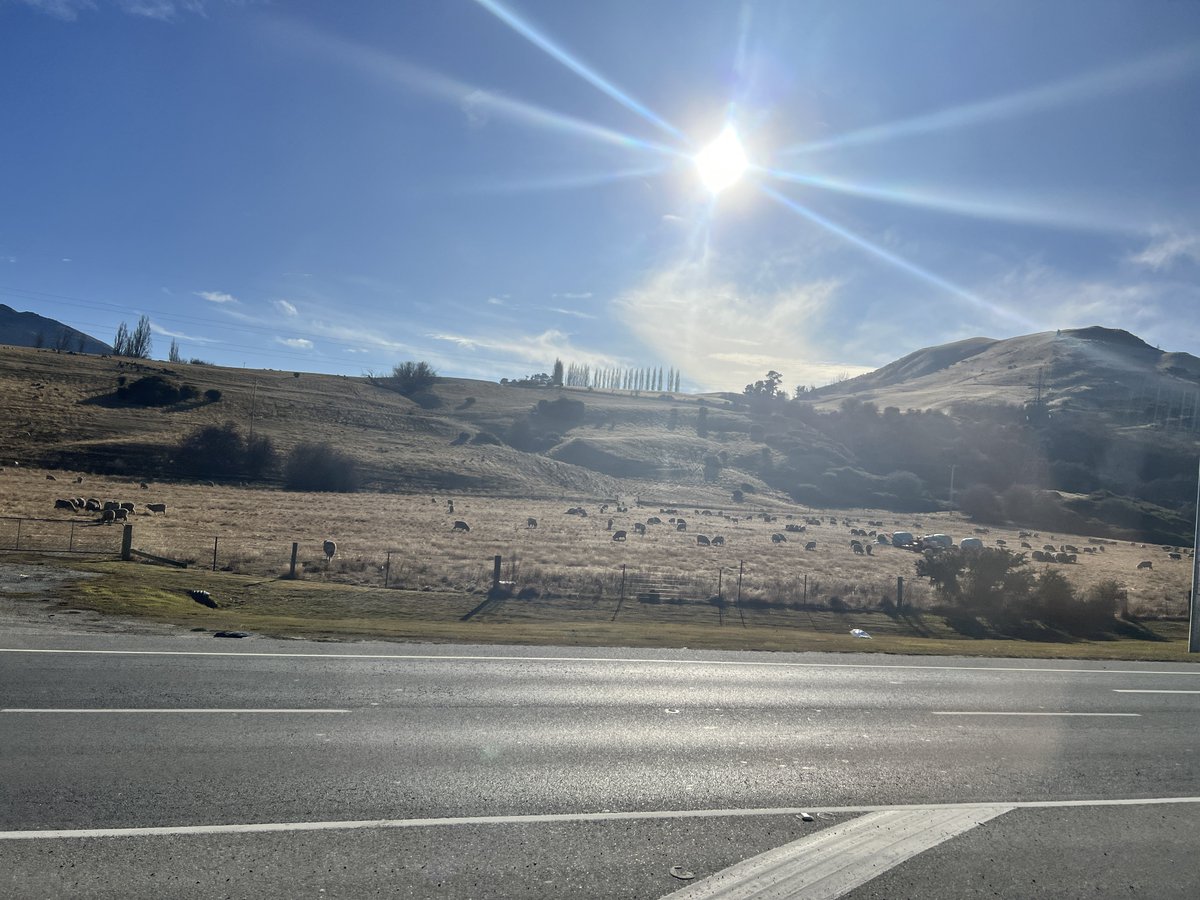 SKiXD's tweet photo. Queenstown, NZ🇳🇿
🚢TSS Earnslaw - Cruise Ship
🥩Pier - LAMB SHANK 🐏
スキーは昨日で終了して、観光の1日でした⛰️
天候に恵まれてありがたい☺️ https://t.co/BqxFEmtd5y