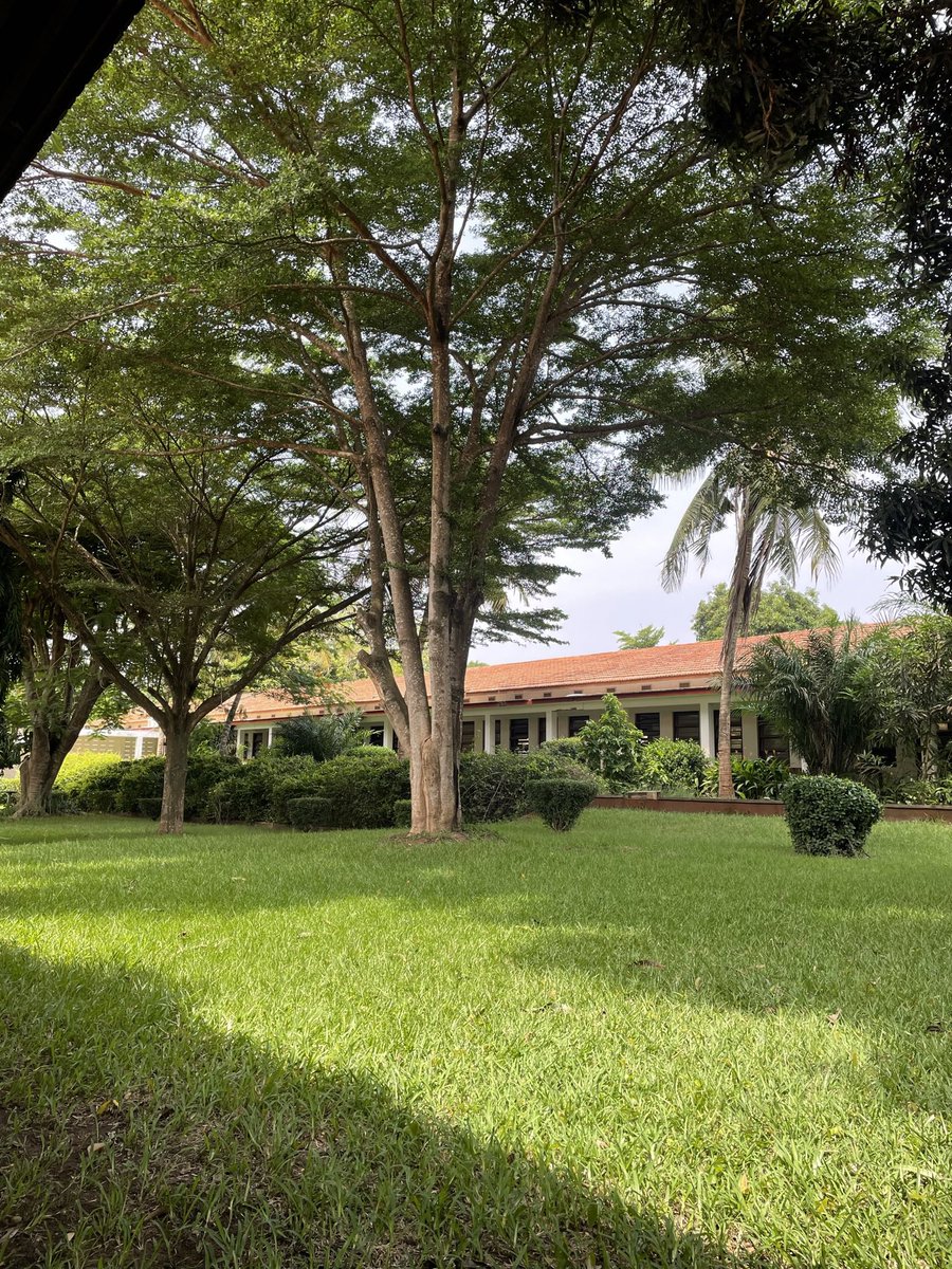 Jasmin Ella Willis (@jasminellaw) on Twitter photo Very happy to be visiting <a href="/cbcrgh/">Centre for Biodiversity Conservation Research</a> at the <a href="/UnivofGh/">University of Ghana</a> again. This time I’m conducting my PhD fieldwork with <a href="/han_sack/">Hannah Sackey</a> & our research assistant, Pearl. Already can’t wait for the results 🎉 Very happy to be visiting <a href="/cbcrgh/">Centre for Biodiversity Conservation Research</a> at the <a href="/UnivofGh/">University of Ghana</a> again. This time I’m conducting my PhD fieldwork with <a href="/han_sack/">Hannah Sackey</a> & our research assistant, Pearl. Already can’t wait for the results 🎉