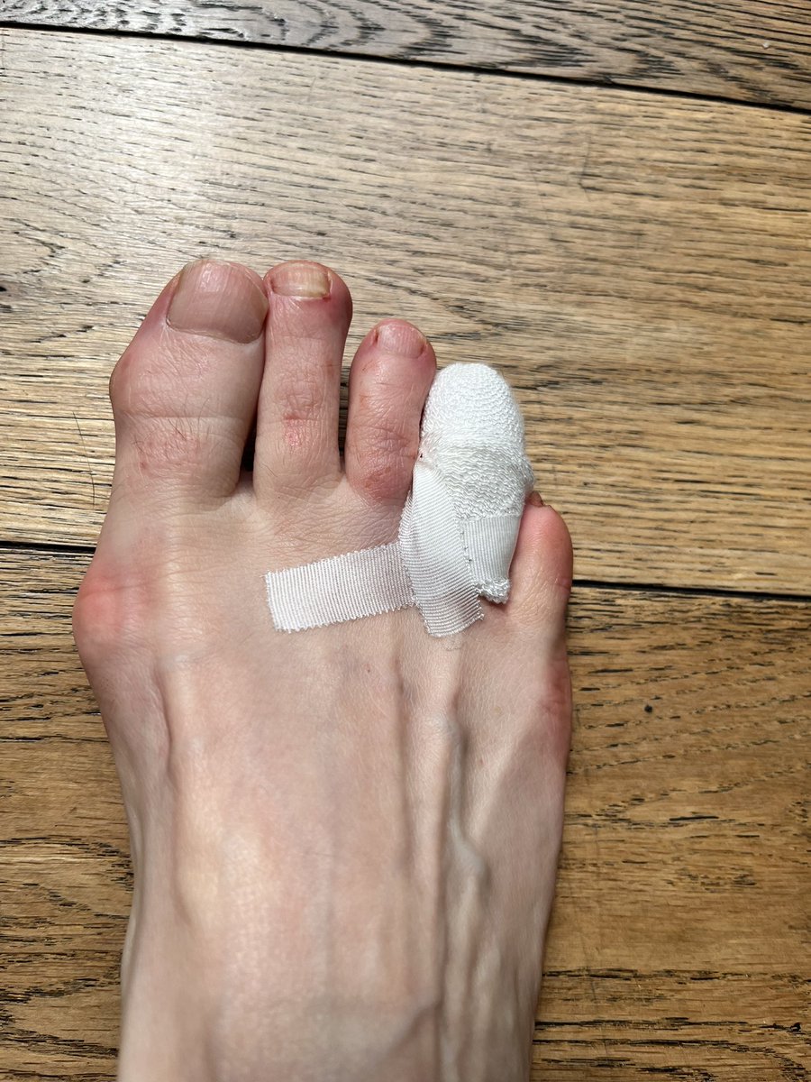 Danielle Clarke 🏳️‍🌈🇮🇪🚲 tweet media