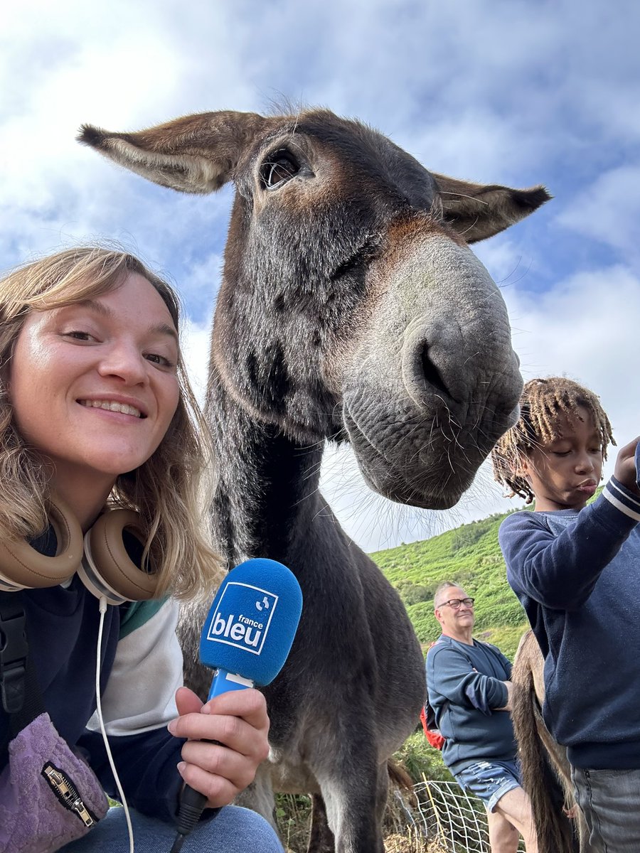 LefebvreLila's tweet photo. Avec Impossible, mon pote à longues oreilles, débroussailleuse professionnelle du site protégé de la valleuse d’Antifer pour le département de la Seine-Maritime et l’association Aquacaux
#environment #Normandie #Falaises https://t.co/y40iFpAu24
