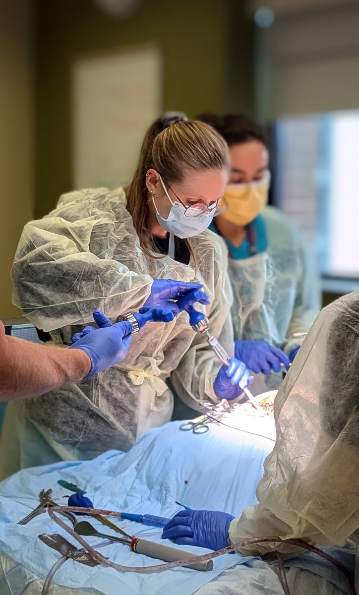 Crystal Lincoln (@crystallincol12) on Twitter photo Thank you <a href="/GlobusMedical/">Globus Medical</a> , Dr. Galgano and Dr. Attiah for a wonderful lab focusing on TL fixation,pedicle screws/rods and tlif/disc prep materials <a href="/MGalganoMD/">Michael Galgano MD</a> <a href="/UNCneurosurgery/">UNC Neurosurgery</a>
<a href="/UNCsim/">UNCsim</a>
<a href="/MarkAttiah/">Mark Attiah</a> Thank you <a href="/GlobusMedical/">Globus Medical</a> , Dr. Galgano and Dr. Attiah for a wonderful lab focusing on TL fixation,pedicle screws/rods and tlif/disc prep materials <a href="/MGalganoMD/">Michael Galgano MD</a> <a href="/UNCneurosurgery/">UNC Neurosurgery</a>
<a href="/UNCsim/">UNCsim</a>
<a href="/MarkAttiah/">Mark Attiah</a>