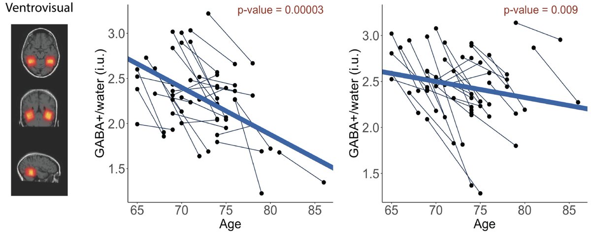 Imaging Neuroscience tweet media
