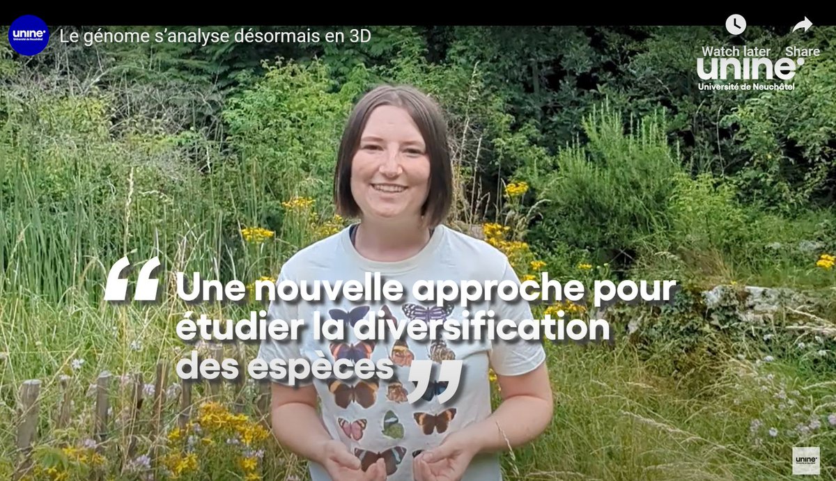 Camille Cornet (@camillecornet17) on Twitter photo Happy to share our press release (in French) from <a href="/UniNeuchatel/">Université Neuchâtel</a>! We propose a new 3D genomics view to help understand species diversification 🧬🌱🦋 with <a href="/crazy_chipkali/">Ashwini V Mohan ಅಶ್ವಿನಿ 🦎🧬🙋🏾♀️</a> <a href="/scueridae/">Paula Escuer</a> <a href="/KayLucek/">Kay Lucek</a>
-> The press release: bit.ly/4cHOdzn
-> The paper: bit.ly/4cHycd3 Happy to share our press release (in French) from <a href="/UniNeuchatel/">Université Neuchâtel</a>! We propose a new 3D genomics view to help understand species diversification 🧬🌱🦋 with <a href="/crazy_chipkali/">Ashwini V Mohan ಅಶ್ವಿನಿ 🦎🧬🙋🏾♀️</a> <a href="/scueridae/">Paula Escuer</a> <a href="/KayLucek/">Kay Lucek</a>
-> The press release: bit.ly/4cHOdzn
-> The paper: bit.ly/4cHycd3