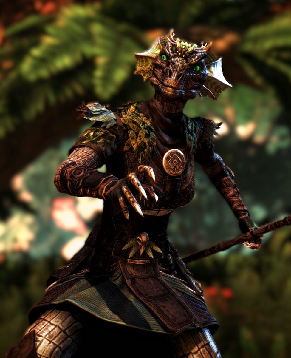 Been wondering lately if people would be interested in screenshots of their characters like this.. I really do enjoy making these pictures, and if anyone would like one just dm me 😶 
#ESO #ESOFam
