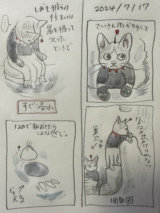 #ボリス絵日記 

雨つづき 