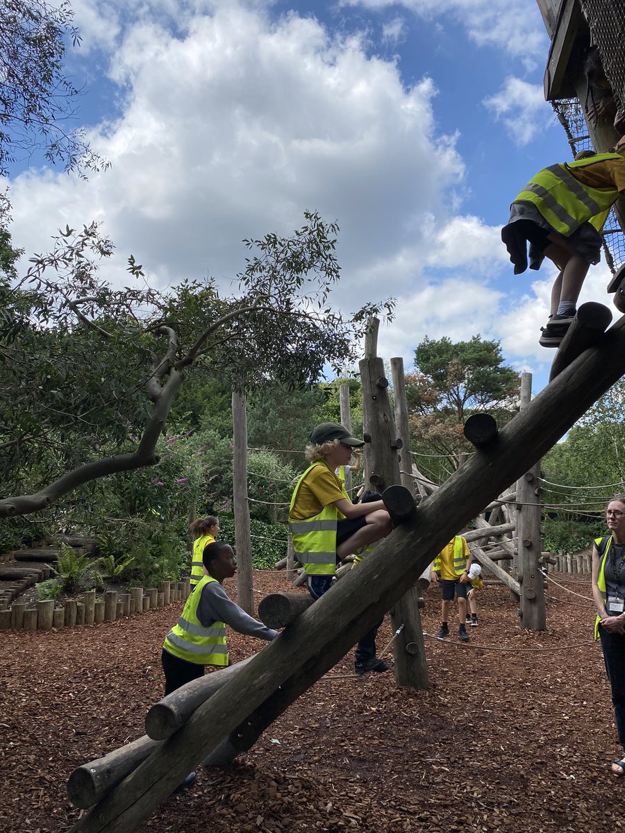 Nicola Curran tweet media