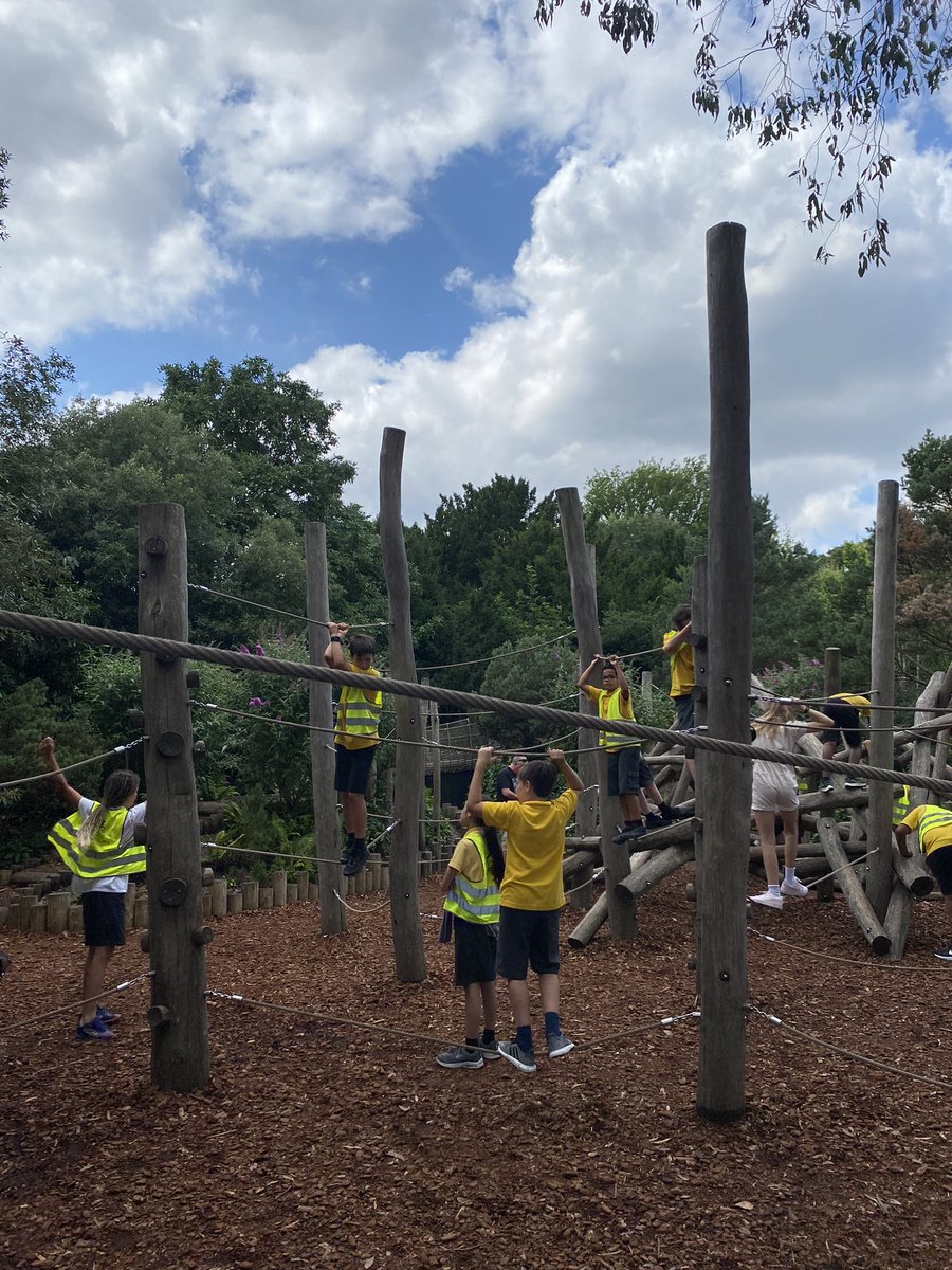 Nicola Curran tweet media