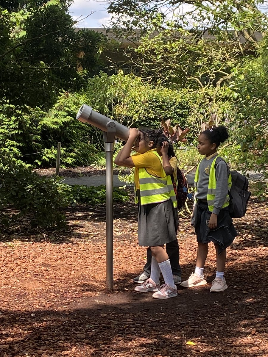 Nicola Curran tweet media