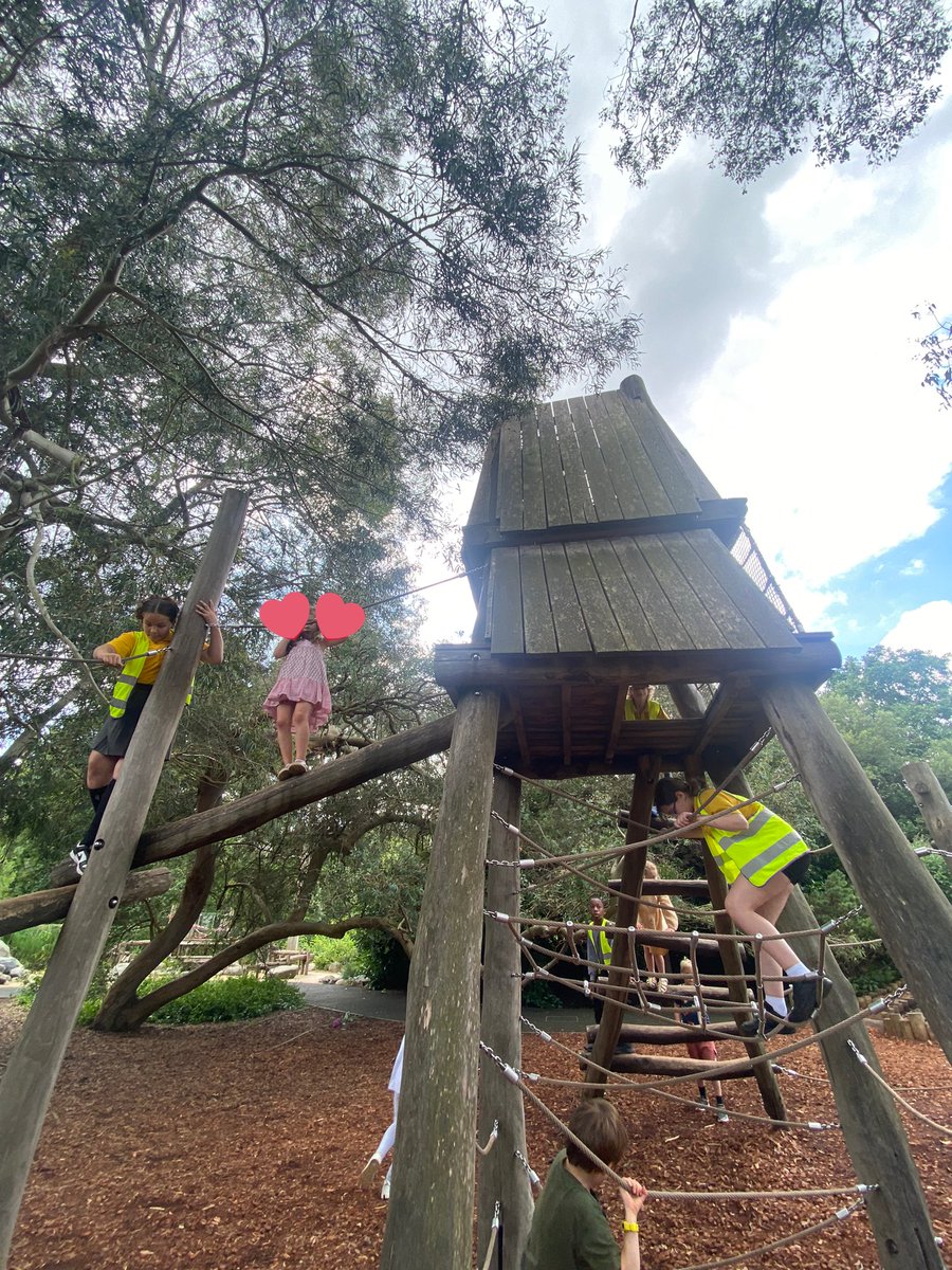 Nicola Curran tweet media