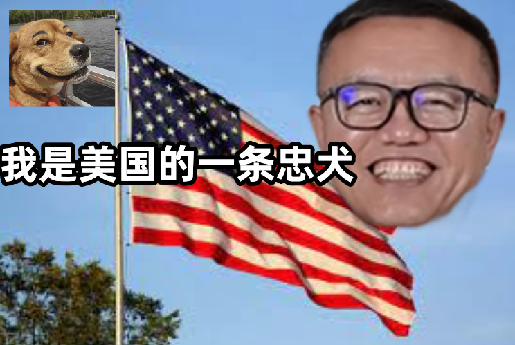 可爱小狗