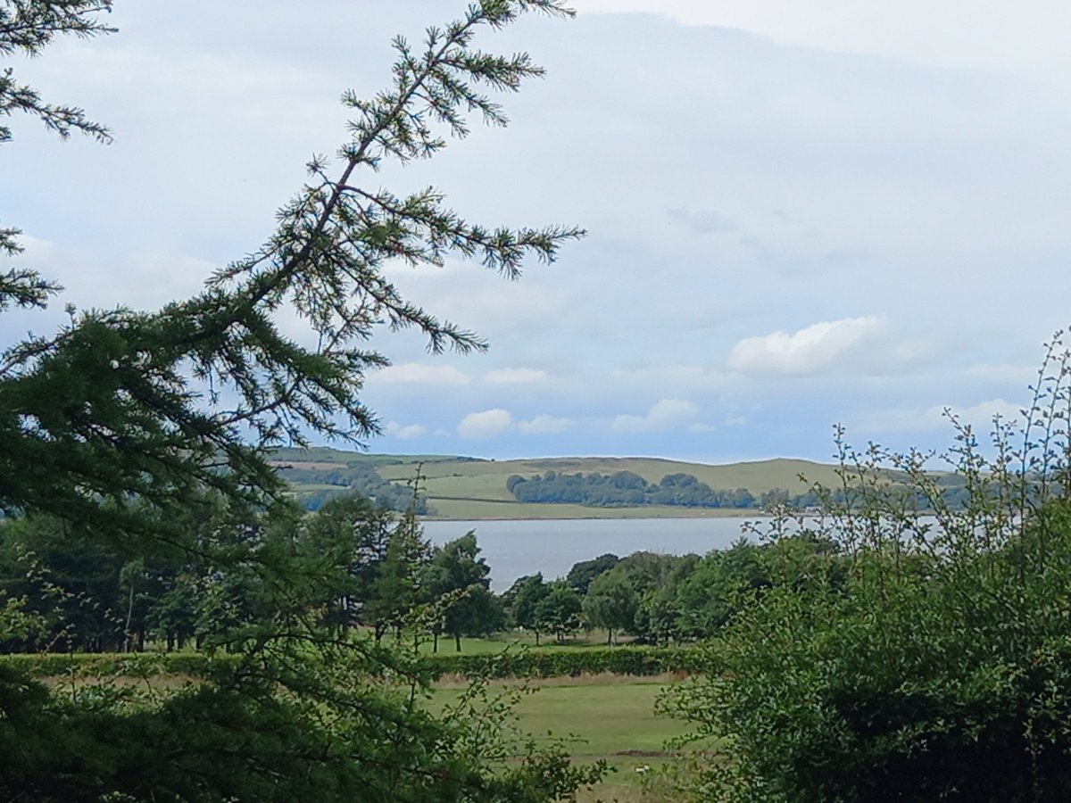 LizzybPNS's tweet photo. It's a beautiful day here at Kelburn and still plenty of time to join us between 1-4, lots of great activities on offer 🤗 https://t.co/wm1C5hL3WM